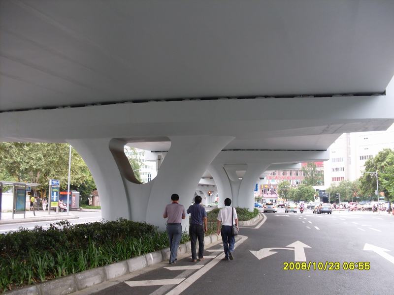 泰兴市政成都一环路桥墩模版